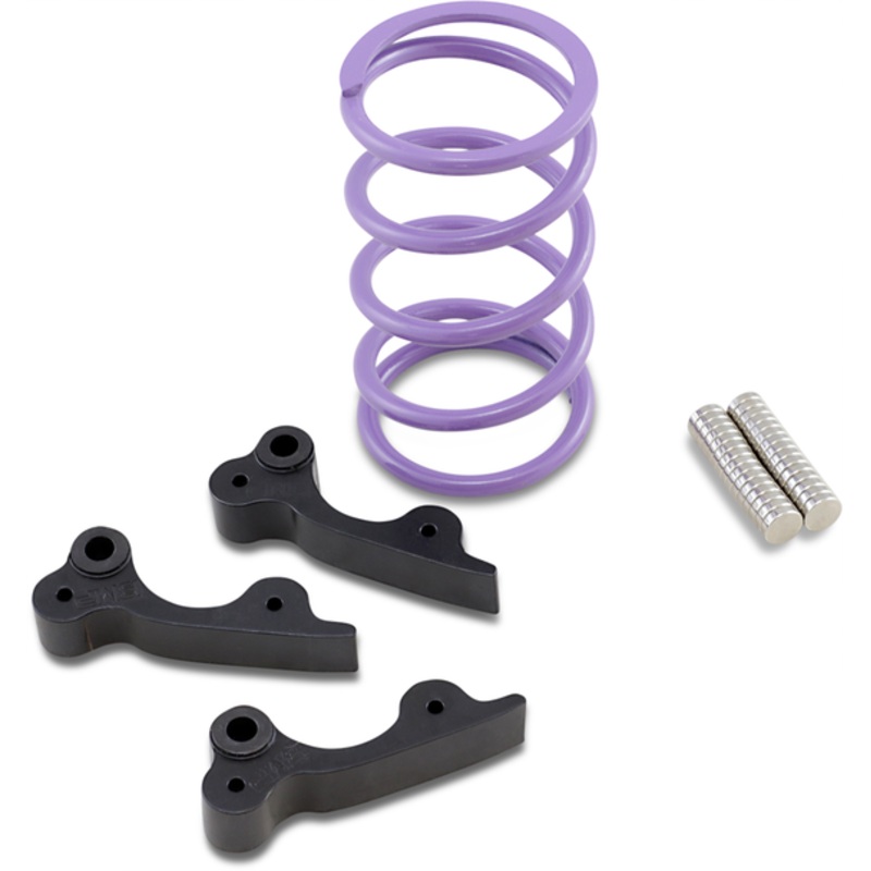 Custom Dynamics Magicflex2 Cruiser Led Engine Kit Purple M2Sb1Purple